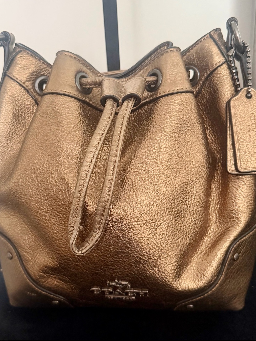 Coach Metallic Bronze Leather Drawstring Bucket Bag